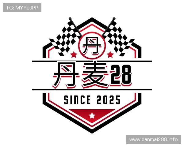洞悉丹麦28